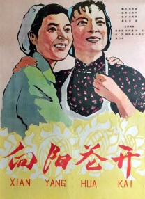 亚洲电影中文字幕